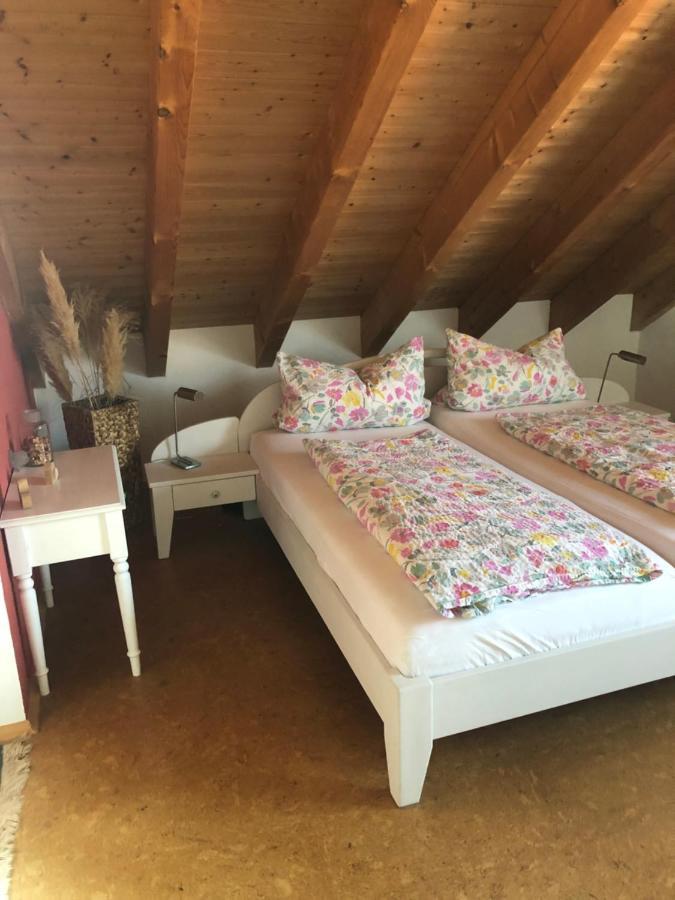 Haus Bergblick Apartment Kisslegg Ngoại thất bức ảnh